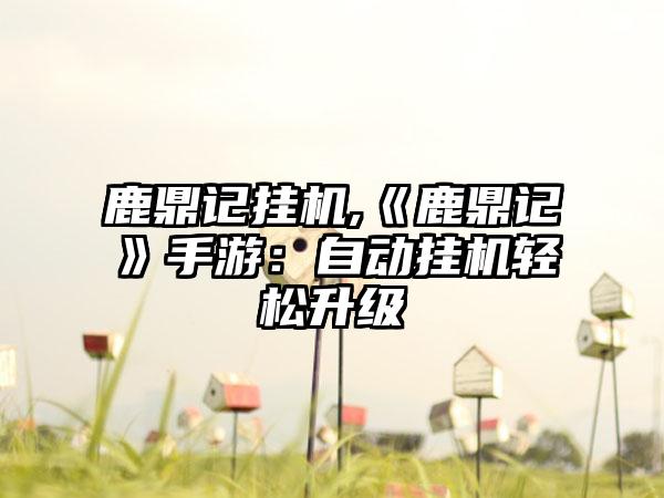 鹿鼎记挂机,《鹿鼎记》手游：自动挂机轻松升级