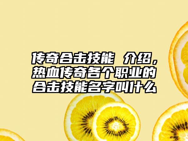 传奇合击技能 介绍，热血传奇各个职业的合击技能名字叫什么