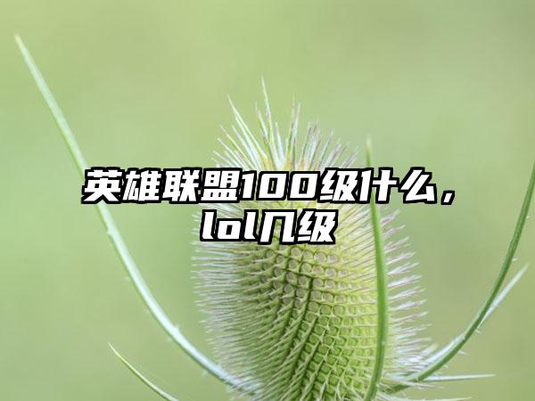 英雄联盟100级什么，lol几级