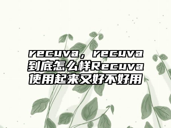 recuva，recuva到底怎么样Recuva使用起来又好不好用