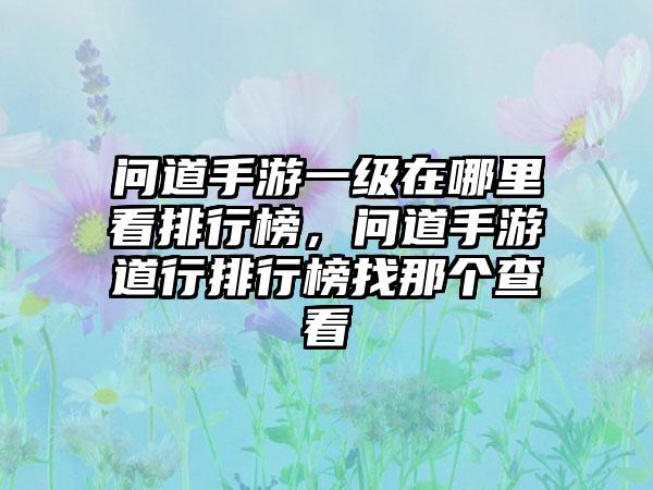 问道手游一级在哪里看排行榜,问道手游道行排行榜找那个查看