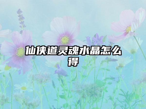 仙侠道灵魂水晶怎么得