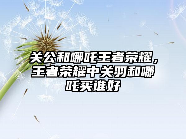 关公和哪吒王者荣耀，王者荣耀中关羽和哪吒买谁好