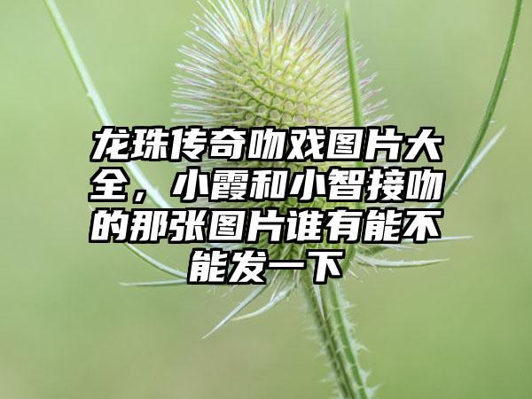 龙珠传奇吻戏图片大全，小霞和小智接吻的那张图片谁有能不能发一下
