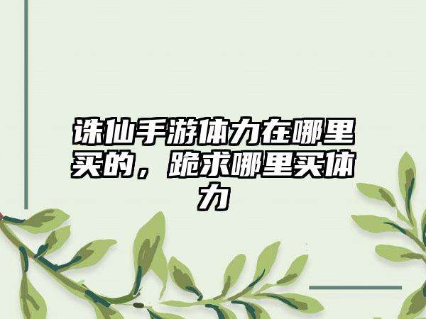 诛仙手游体力在哪里买的，跪求哪里买体力