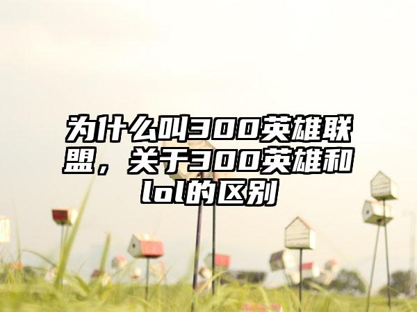 为什么叫300英雄联盟，关于300英雄和lol的区别