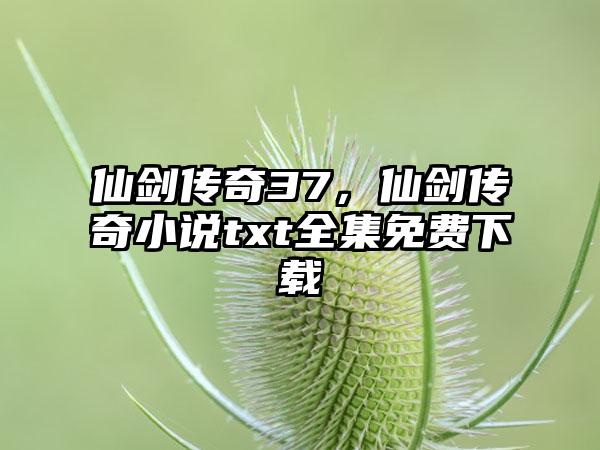 仙剑传奇37，仙剑传奇小说txt全集免费下载