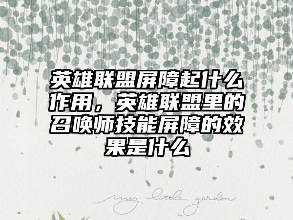 英雄联盟屏障起什么作用，英雄联盟里的召唤师技能屏障的效果是什么