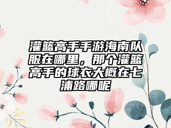 灌篮高手手游海南队服在哪里，那个灌篮高手的球衣大概在七浦路哪呢