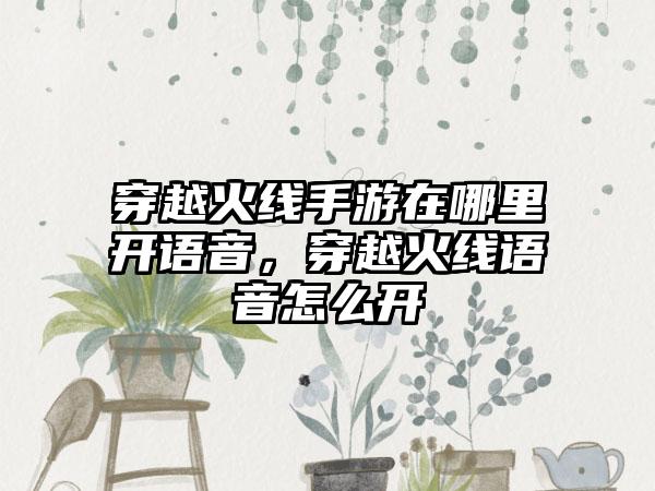 穿越火线手游在哪里开语音，穿越火线语音怎么开