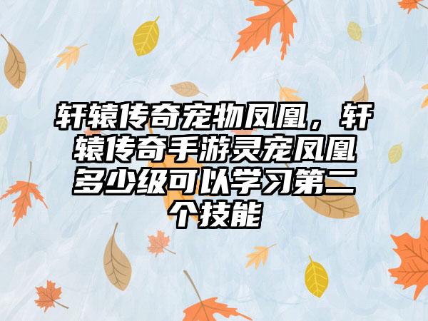 轩辕传奇宠物凤凰，轩辕传奇手游灵宠凤凰多少级可以学习第二个技能