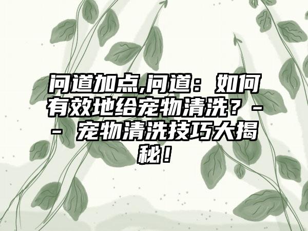 问道加点,问道：如何有效地给宠物清洗？-- 宠物清洗技巧大揭秘！