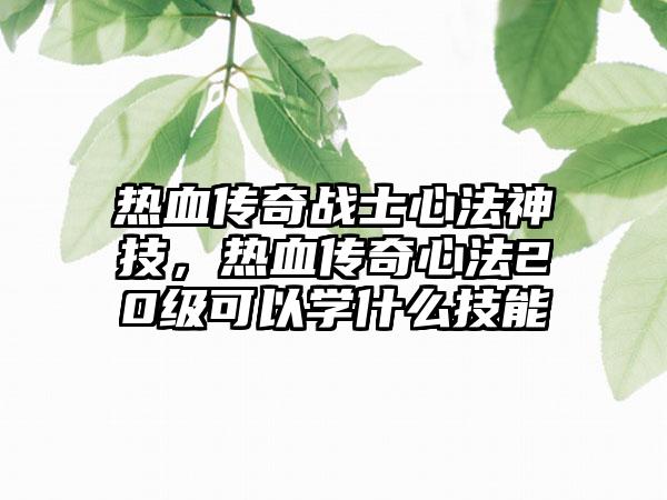 热血传奇战士心法神技，热血传奇心法20级可以学什么技能