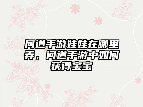 问道手游娃娃在哪里弄，问道手游中如何获得宝宝