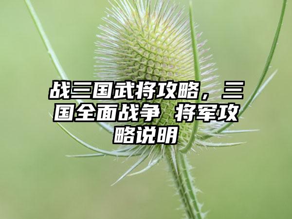 战三国武将攻略,三国全面战争 将军攻略说明