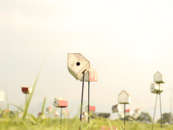 赛尔号精灵大全,赛尔号所有精灵一览