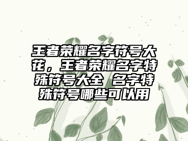 王者荣耀名字符号大花，王者荣耀名字特殊符号大全 名字特殊符号哪些可以用