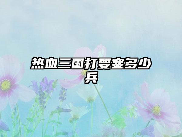 热血三国打要塞多少兵