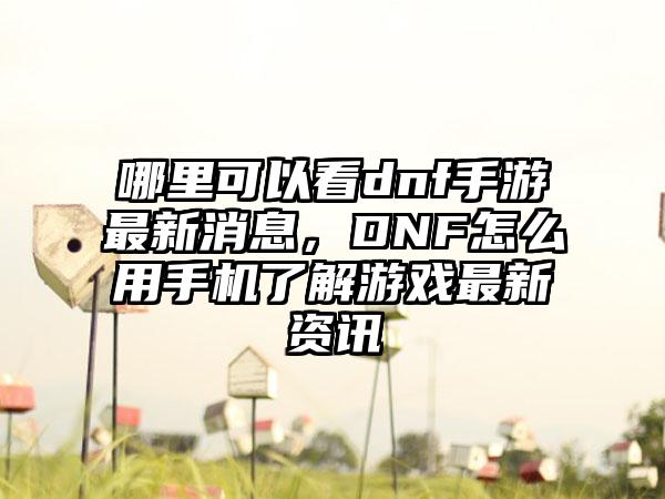 哪里可以看dnf手游最新消息，DNF怎么用手机了解游戏最新资讯