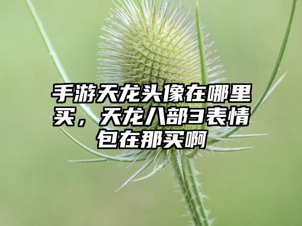 手游天龙头像在哪里买，天龙八部3表情包在那买啊