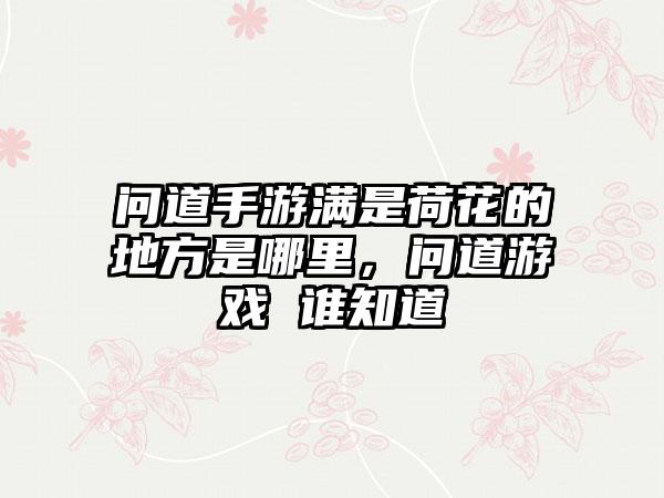 问道手游满是荷花的地方是哪里，问道游戏 谁知道