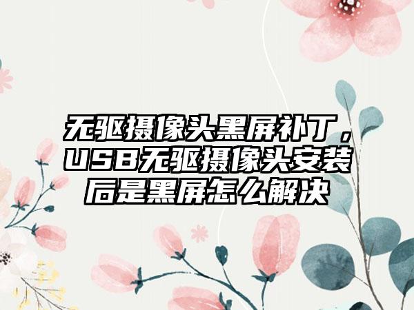 无驱摄像头黑屏补丁，USB无驱摄像头安装后是黑屏怎么解决
