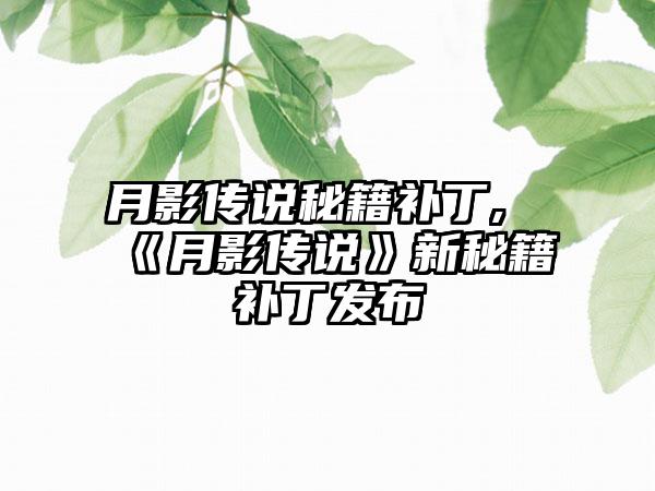 月影传说秘籍补丁,《月影传说》新秘籍补丁发布