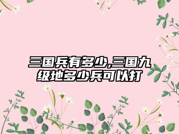 三国兵有多少,三国九级地多少兵可以打