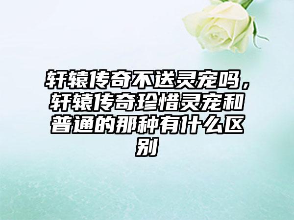 轩辕传奇不送灵宠吗，轩辕传奇珍惜灵宠和普通的那种有什么区别