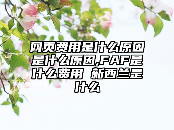 网页费用是什么原因是什么原因,FAF是什么费用 新西兰是什么