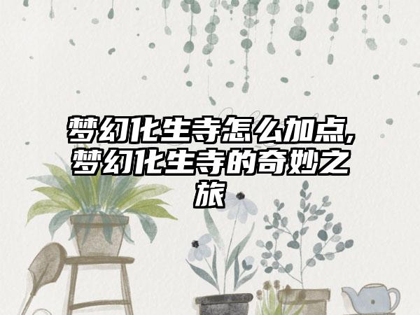 梦幻化生寺怎么加点,梦幻化生寺的奇妙之旅