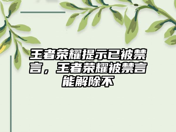 王者荣耀提示已被禁言，王者荣耀被禁言能解除不
