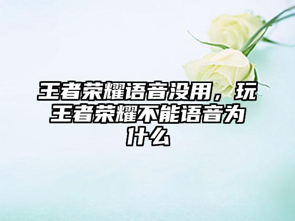 王者荣耀语音没用，玩王者荣耀不能语音为什么