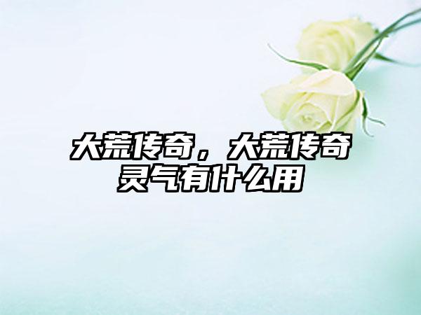 大荒传奇，大荒传奇灵气有什么用