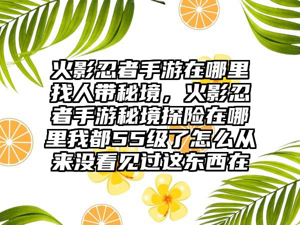 火影忍者手游在哪里找人带秘境，火影忍者手游秘境探险在哪里我都55级了怎么从来没看见过这东西在