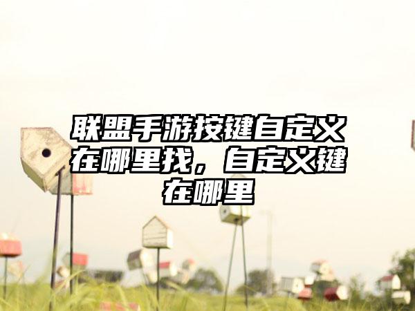 联盟手游按键自定义在哪里找，自定义键在哪里