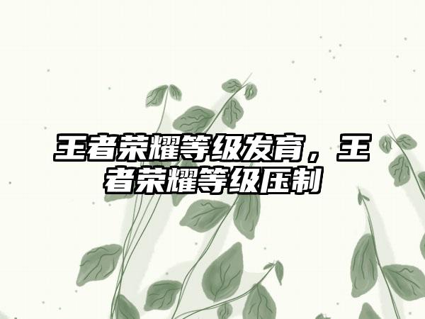 王者荣耀等级发育，王者荣耀等级压制