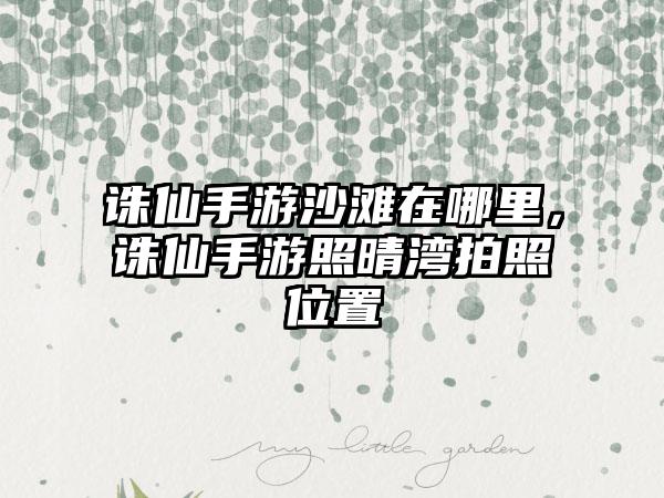 诛仙手游沙滩在哪里，诛仙手游照晴湾拍照位置