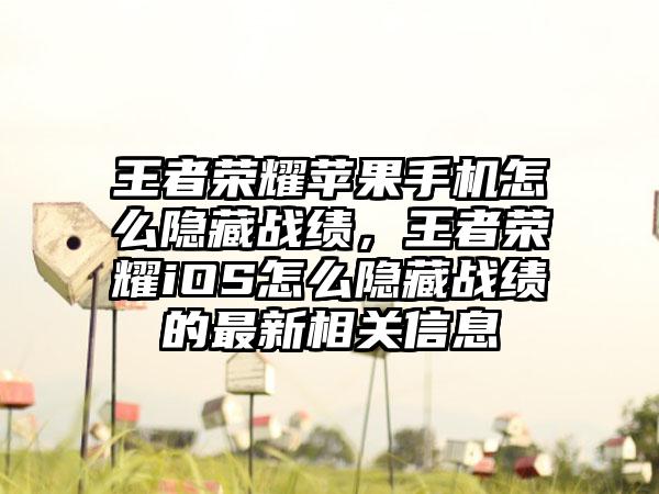 王者荣耀苹果手机怎么隐藏战绩，王者荣耀iOS怎么隐藏战绩的最新相关信息