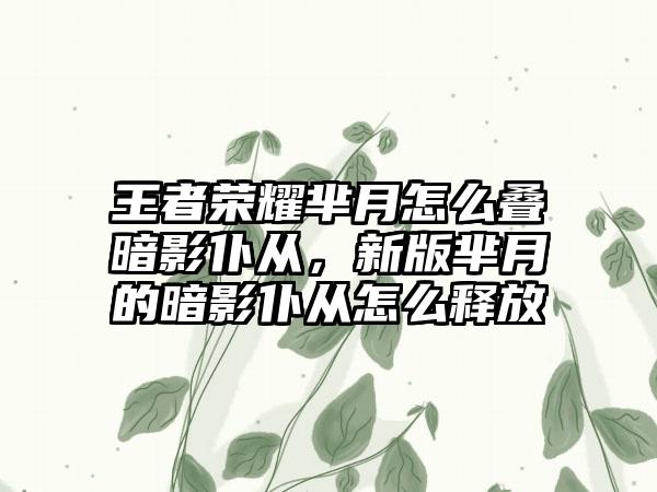 王者荣耀芈月怎么叠暗影仆从，新版芈月的暗影仆从怎么释放