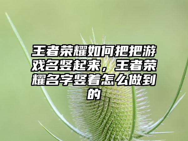 王者荣耀如何把把游戏名竖起来,王者荣耀名字竖着怎么做到的
