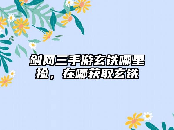 剑网三手游玄铁哪里捡，在哪获取玄铁
