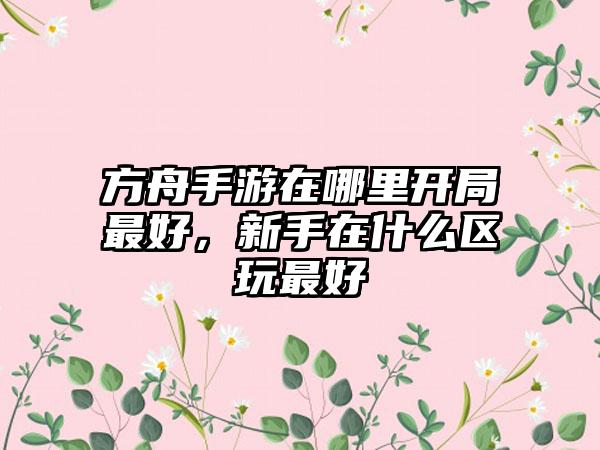 方舟手游在哪里开局最好，新手在什么区玩最好
