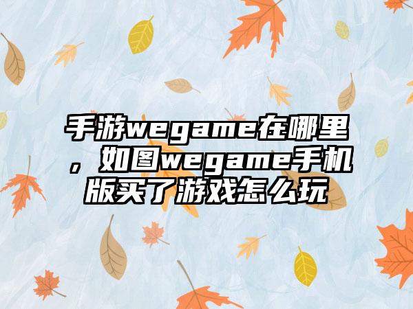 手游wegame在哪里，如图wegame手机版买了游戏怎么玩