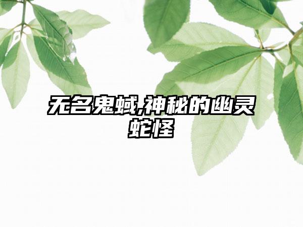 无名鬼蜮,神秘的幽灵蛇怪