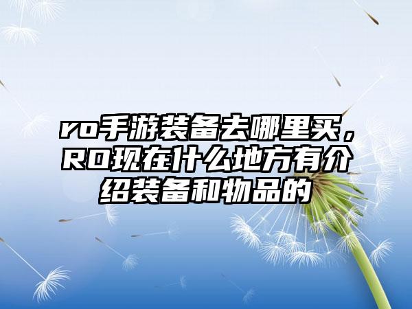 ro手游装备去哪里买，RO现在什么地方有介绍装备和物品的