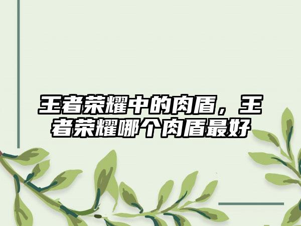 王者荣耀中的肉盾，王者荣耀哪个肉盾最好