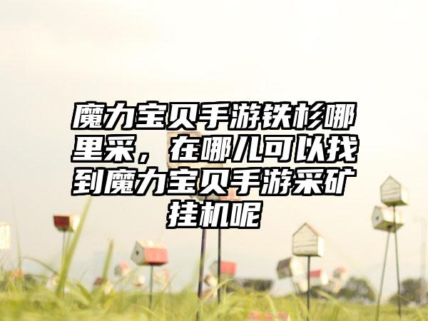 魔力宝贝手游铁杉哪里采，在哪儿可以找到魔力宝贝手游采矿挂机呢