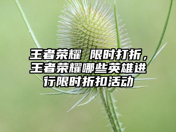 王者荣耀 限时打折,王者荣耀哪些英雄进行限时折扣活动