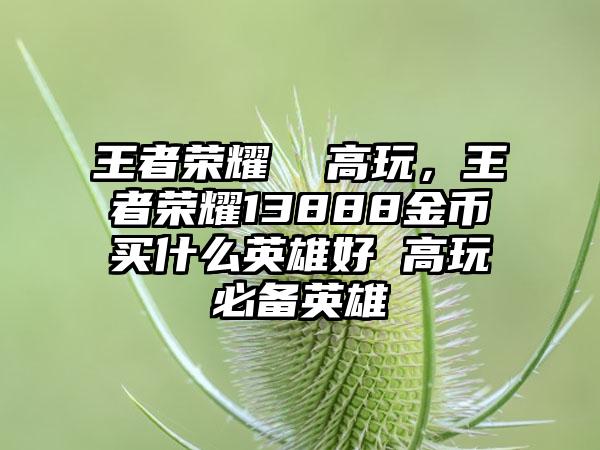 王者荣耀 高玩,王者荣耀13888金币买什么英雄好 高玩必备英雄